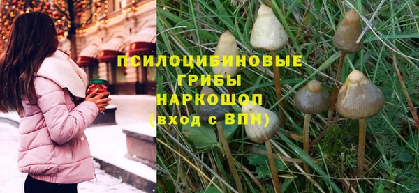 прущий лед Бронницы
