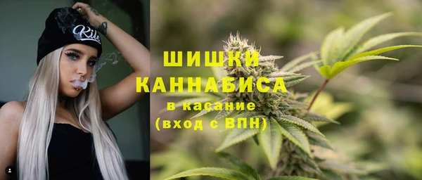 молекула духа Бородино