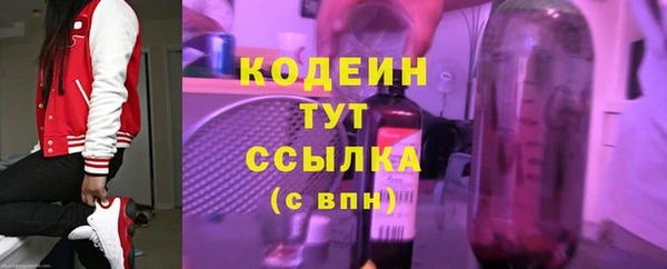 молекула духа Бородино