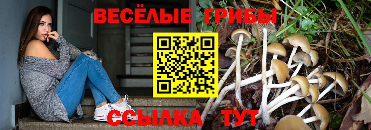 Галлюциногенные грибы ЛСД Наро-Фоминск