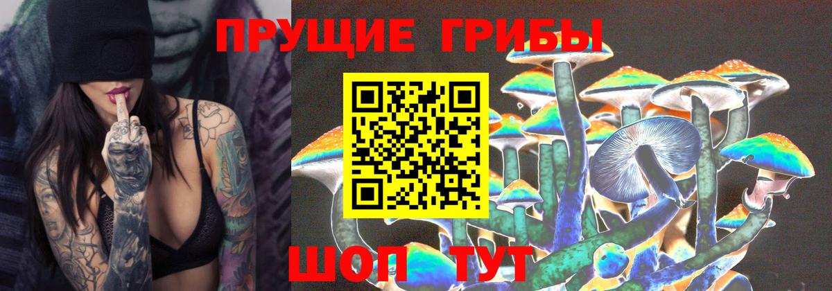 Наро-Фоминск  Галлюциногенные грибы ЛСД  Вход с VPN 
